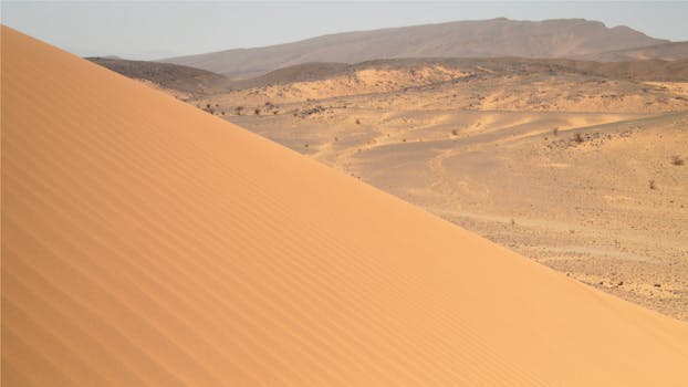 Beat Jet Lag: Expert Tips for Smoother Time Zone Transitions