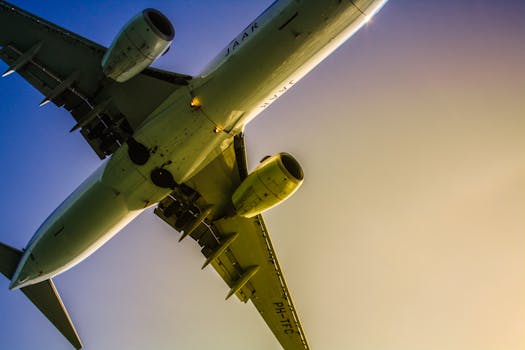 Beat Jet Lag with Smart In-Flight Nutrition: What to Eat and Avoid